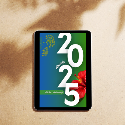 Agenda numérique 2025 Edition Rimèd Razyé